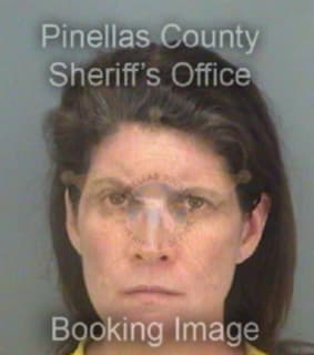 Meyer Donna - Pinellas County, Florida 