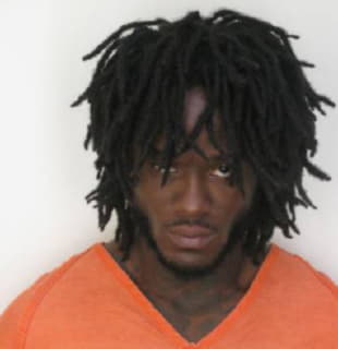 Levison Reginald - Hillsborough County, Florida 