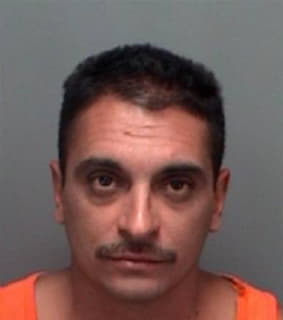 Ramirez Henry - Pinellas County, Florida 