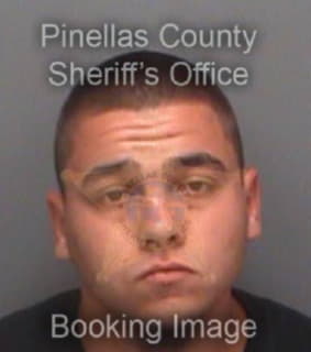 Lapointe Kenneth - Pinellas County, Florida 