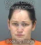 Bryson Meagan - Pinellas County, Florida 