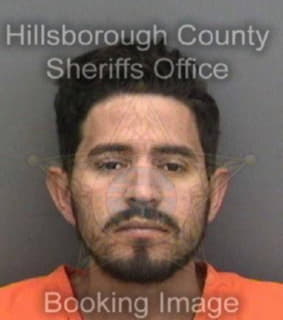 Perez Bayron - Hillsborough County, Florida 