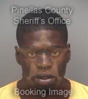 Lee Reginald - Pinellas County, Florida 