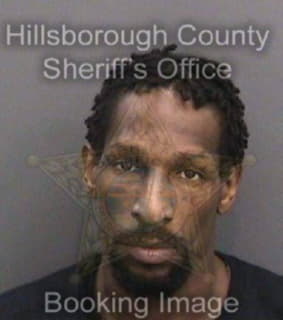 Laws Micheal - Hillsborough County, Florida 