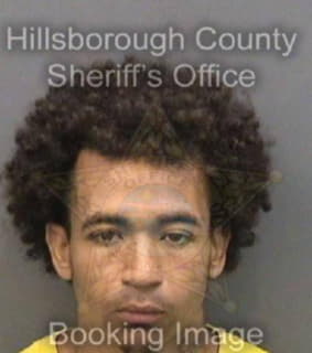 Bates Paul - Hillsborough County, Florida 