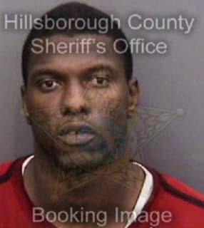 Williams Deandre - Hillsborough County, Florida 