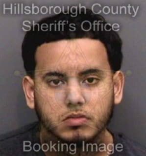 Roman Joshua - Hillsborough County, Florida 