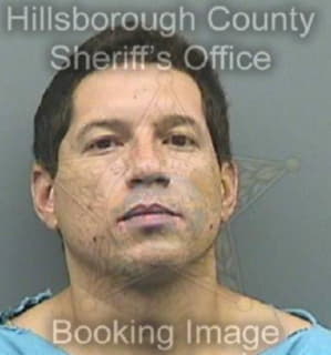 Rodriguez Michael - Hillsborough County, Florida 