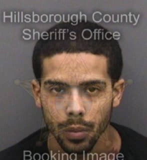 Deleon Andrew - Hillsborough County, Florida 