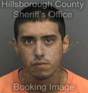 Delgado Edgar - Hillsborough County, Florida 