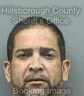 Cruz Julio - Hillsborough County, Florida 