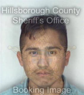 Cornejo Rene - Hillsborough County, Florida 