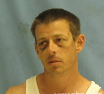 Johnson Shawn - Pulaski County, Arkansas 