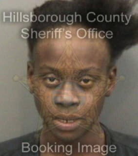 Canty Tyresha - Hillsborough County, Florida 