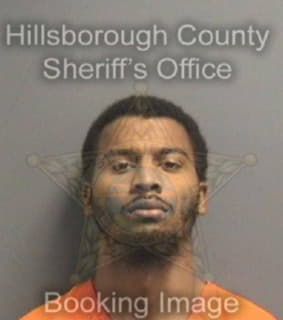 Mccoy William - Hillsborough County, Florida 