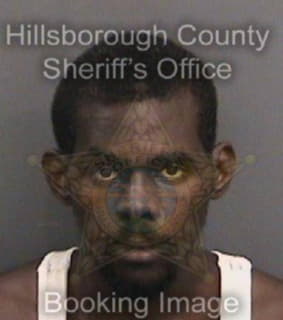 Williams Benjamin - Hillsborough County, Florida 