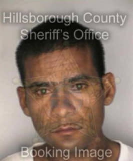 Dejesus Jesus - Hillsborough County, Florida 