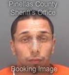 Dejesus Michael - Pinellas County, Florida 