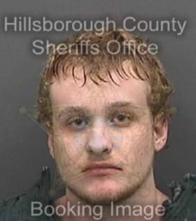 Mcannally William - Hillsborough County, Florida 