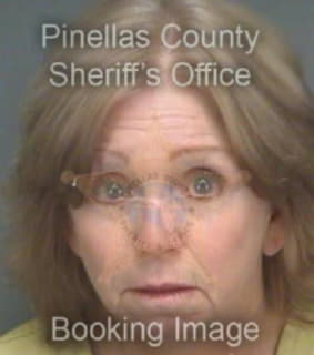 Coyne Patricia - Pinellas County, Florida 