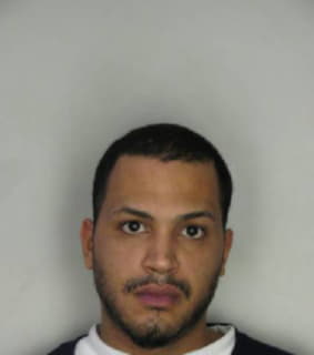 Amill Alejandro - Hillsborough County, Florida 