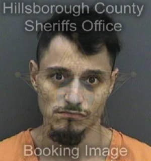 Ramirezrabanales Christopher - Hillsborough County, Florida 