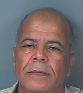 Megahed Hamid - Hernando County, Florida 