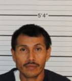 Sanchez Jose - Shelby County, Tennessee 