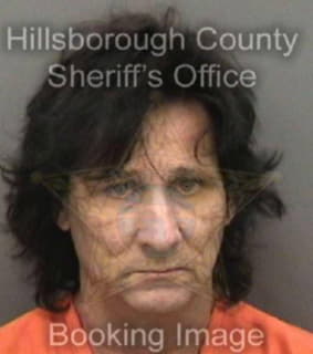 Robinson Robert - Hillsborough County, Florida 