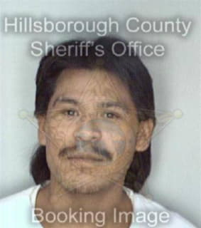 Isidro Vincent - Hillsborough County, Florida 