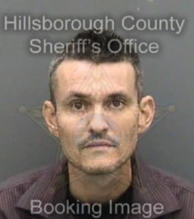 Mcgregor Brian - Hillsborough County, Florida 