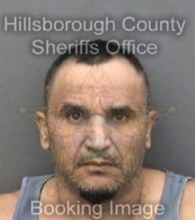 Chavezmartinez Hugo - Hillsborough County, Florida 