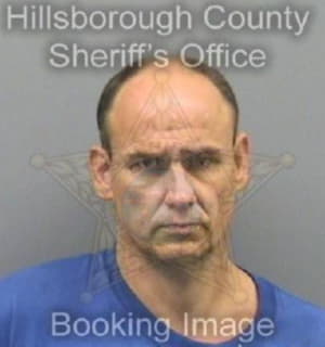 Zeman Michael - Hillsborough County, Florida 