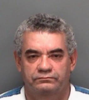 Ramosgonzalez Nelson - Pinellas County, Florida 