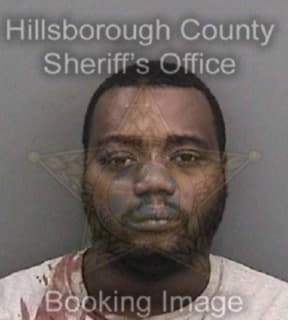 Lewis Tavares - Hillsborough County, Florida 