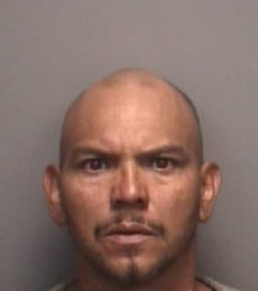 Flores Carlos - Pinellas County, Florida 