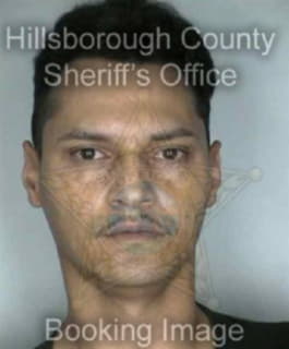 Dejesus Felix - Hillsborough County, Florida 