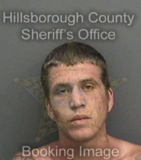 Mccausland Paul - Hillsborough County, Florida 