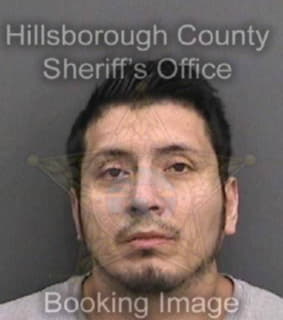 Mayorga Walter - Hillsborough County, Florida 