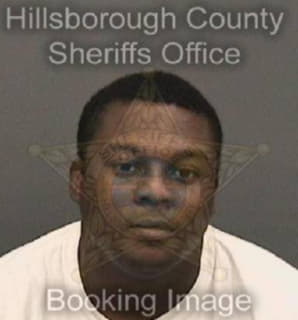 Lewis Reginald - Hillsborough County, Florida 