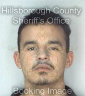 Mclendon Robert - Hillsborough County, Florida 