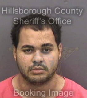 Neto Alberto - Hillsborough County, Florida 