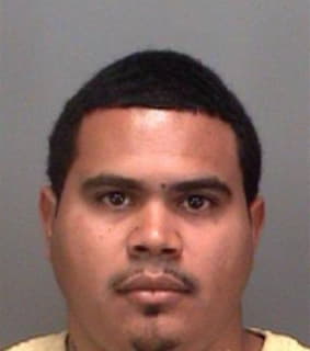 Ricardo Alfredo - Pinellas County, Florida 