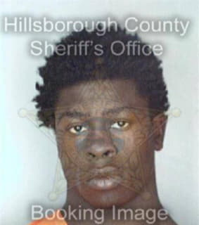 Benson Terrence - Hillsborough County, Florida 