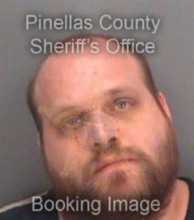 Andryusky Anthony - Pinellas County, Florida 