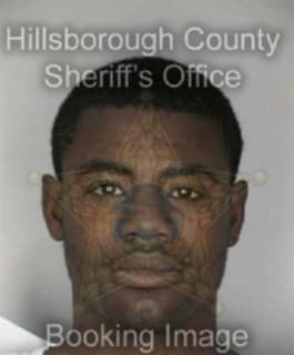 Reed Lewis - Hillsborough County, Florida 