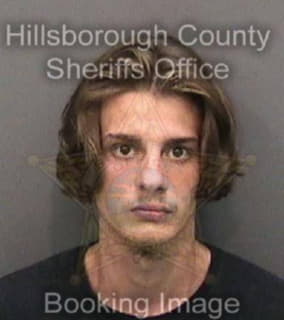 Sayles Michael - Hillsborough County, Florida 