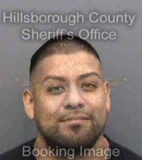 Hernandez Christian - Hillsborough County, Florida 