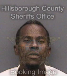 Robinson Christopher - Hillsborough County, Florida 