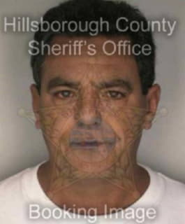 Ledesma Isidro - Hillsborough County, Florida 